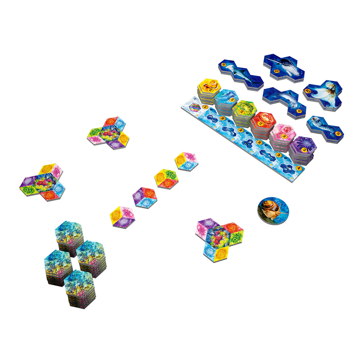 Aqua - Image 3