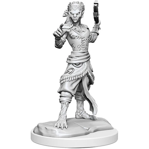 D&D Nolzur's Marvelous Minis: Shifter Fighter - Image 3