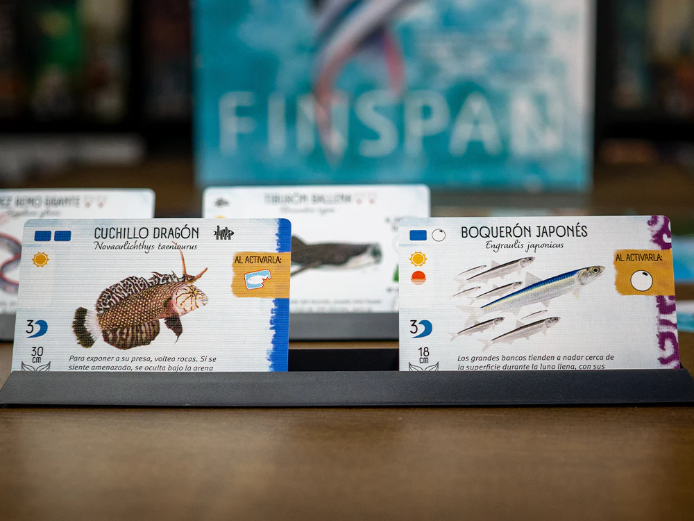 Finspan (Español) (Outlet 1) - Image 3
